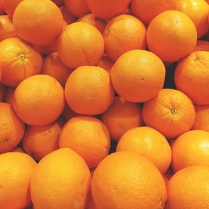 호주산 네이블 오렌지